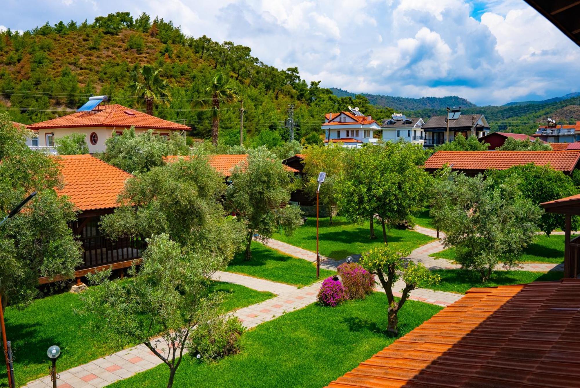 Defne Olive Gardens, Koca Calis, Fethiye - Previously Defne Pansiyon Exterior foto
