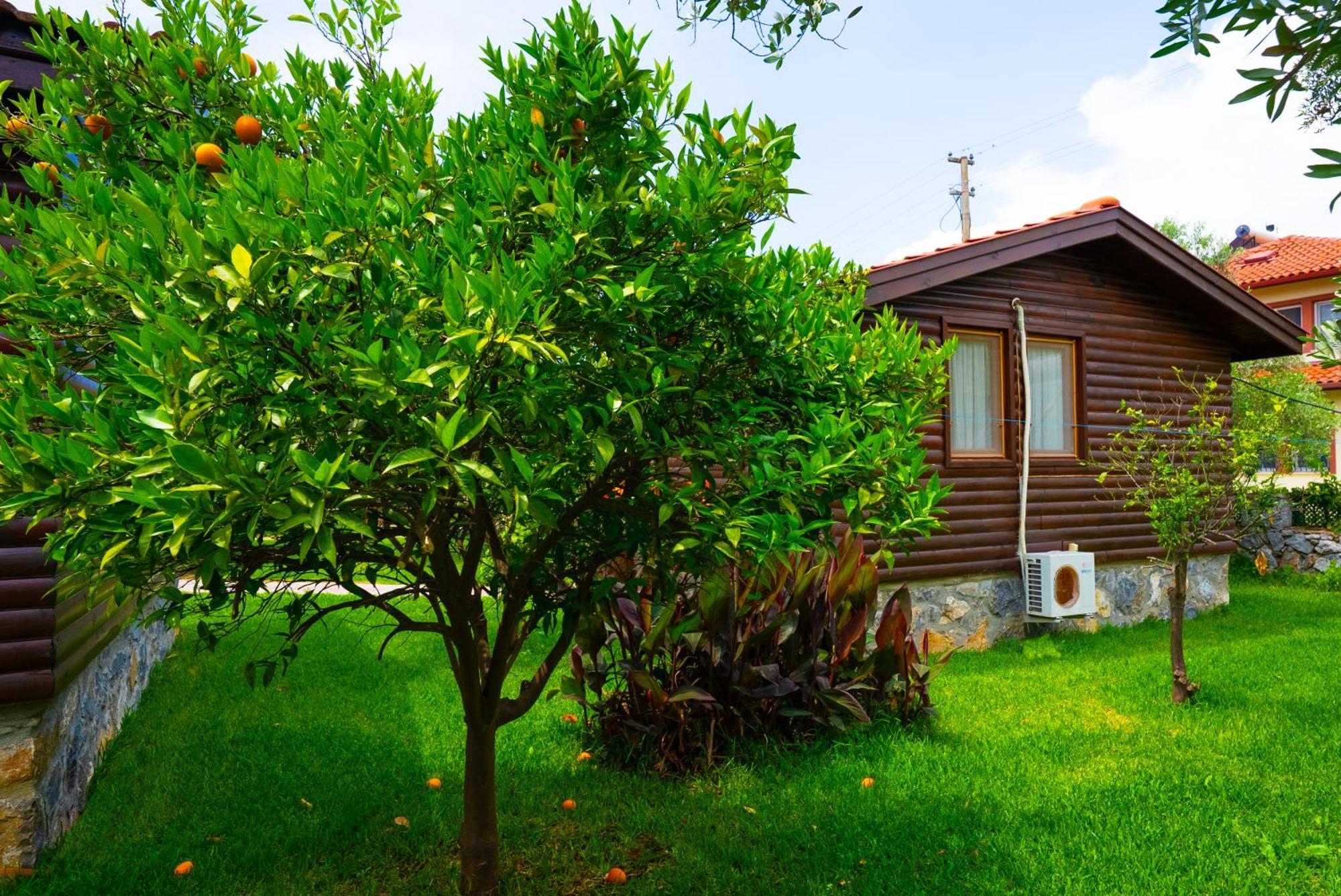 Defne Olive Gardens, Koca Calis, Fethiye - Previously Defne Pansiyon Exterior foto