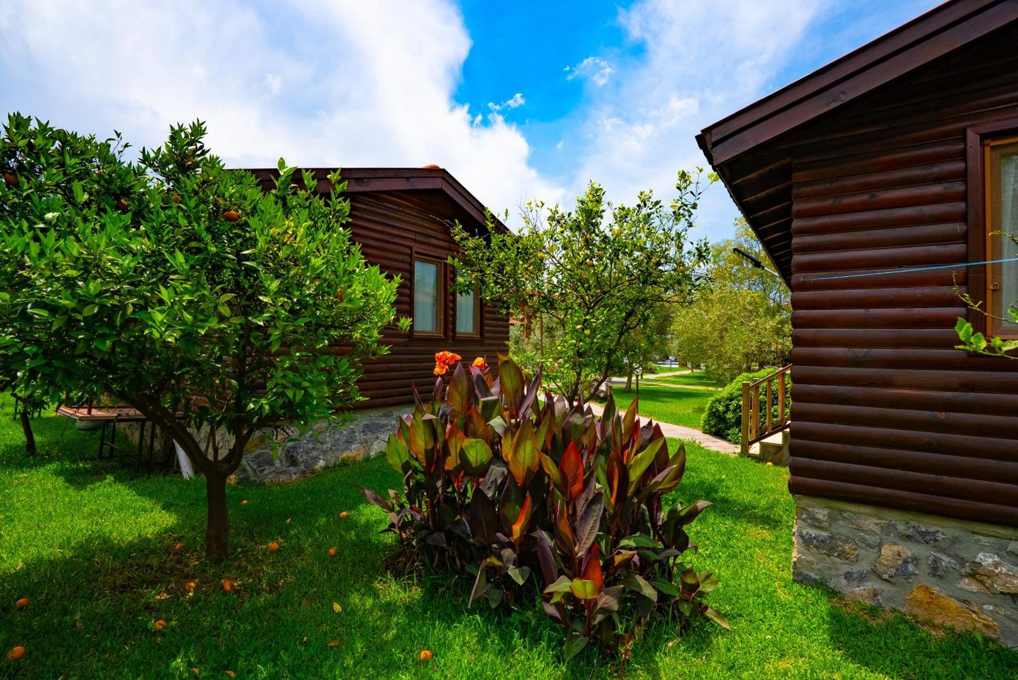 Defne Olive Gardens, Koca Calis, Fethiye - Previously Defne Pansiyon Exterior foto