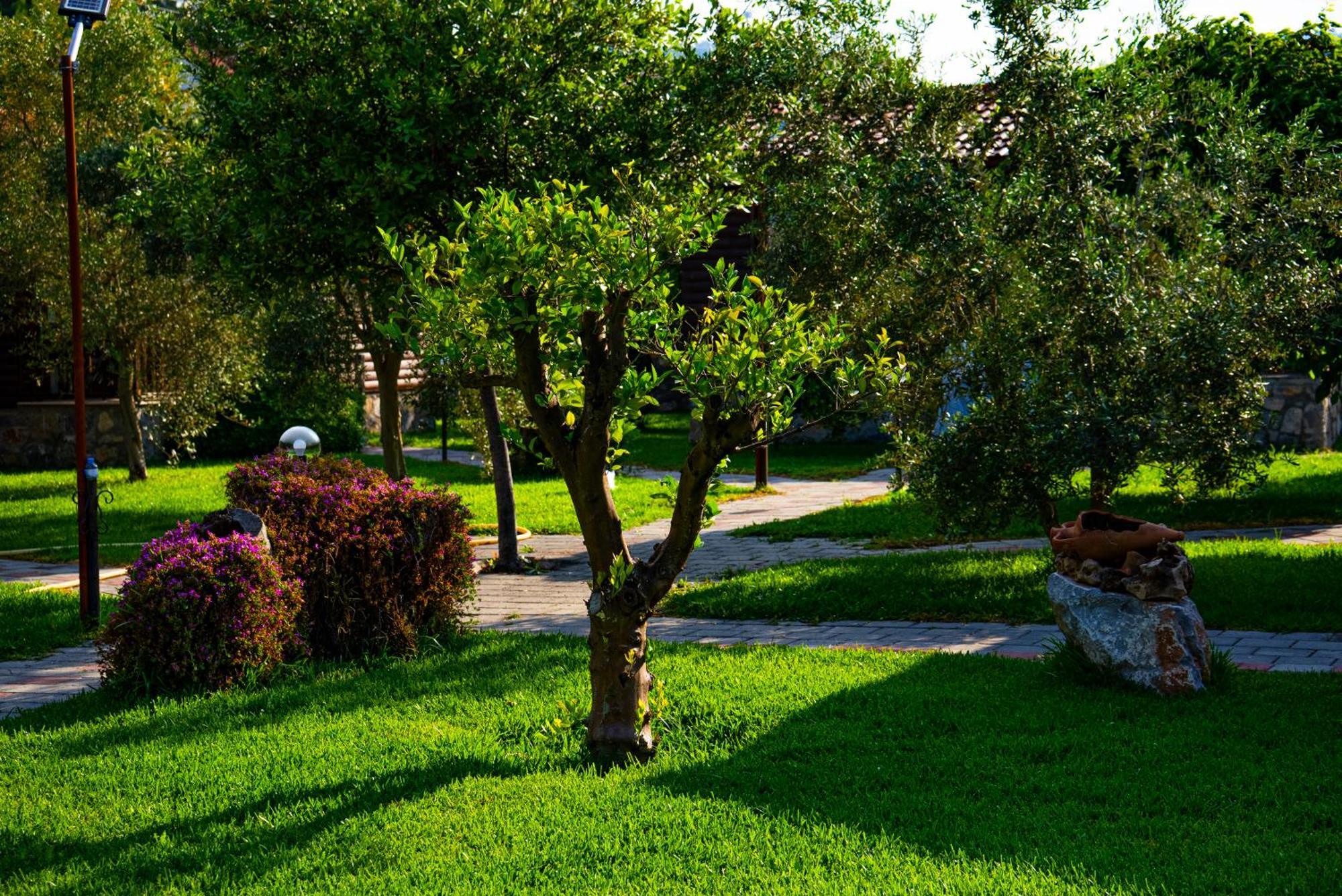 Defne Olive Gardens, Koca Calis, Fethiye - Previously Defne Pansiyon Exterior foto