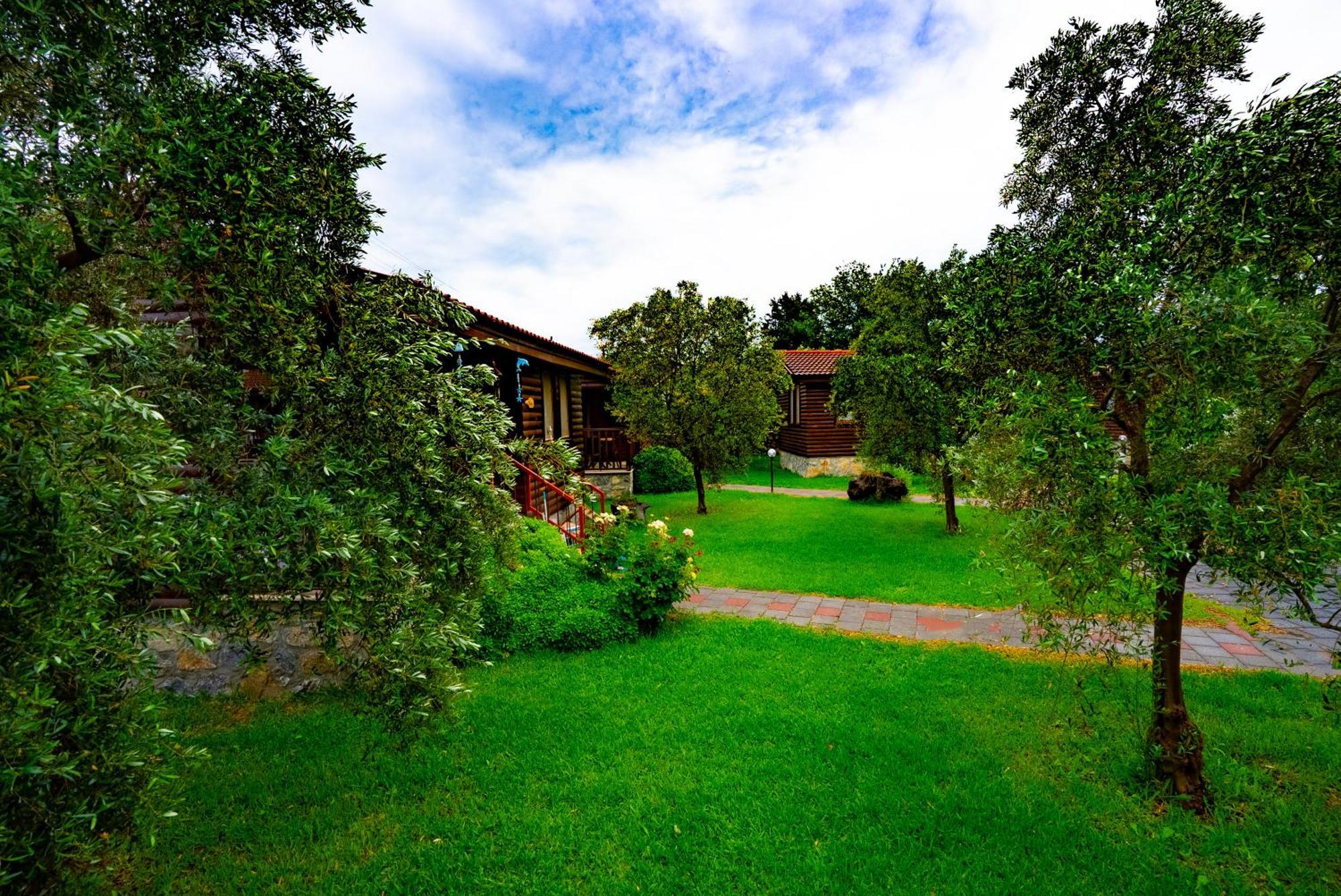 Defne Olive Gardens, Koca Calis, Fethiye - Previously Defne Pansiyon Exterior foto